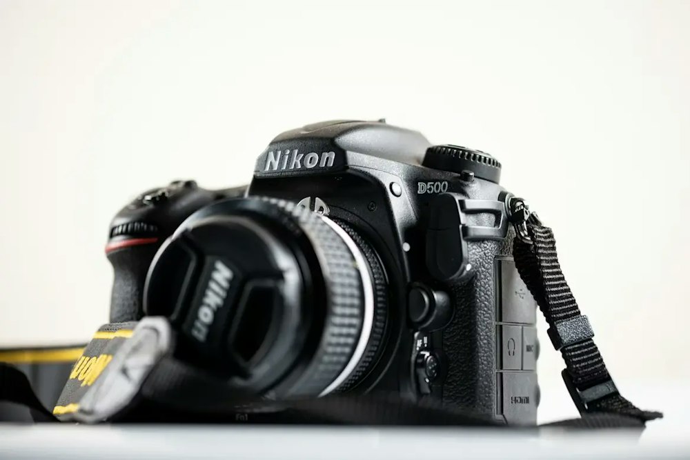 2026年版】Nikon D500のレビュー比較まとめ 野鳥・スポーツ撮影に最適
